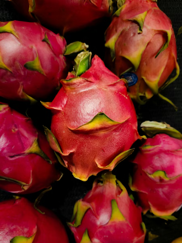 Red Dragon Fruits
